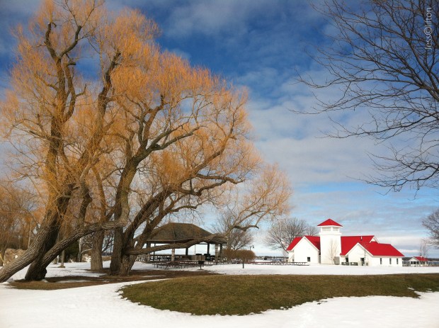 northport_primary_colors