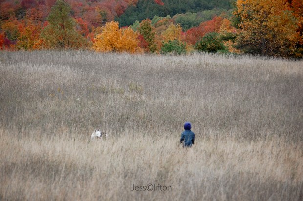 Boy & Dog Meet in Field