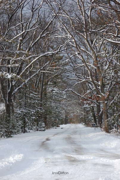 Winter Road