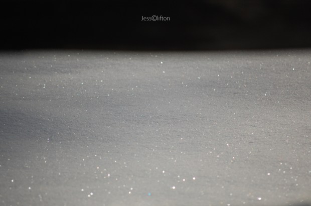 Glittering Snow