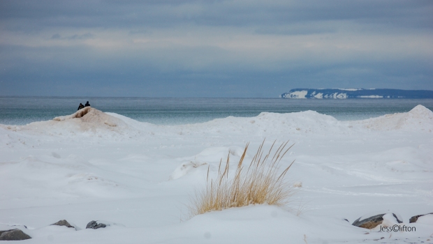 Winter Beach Lake Michigan