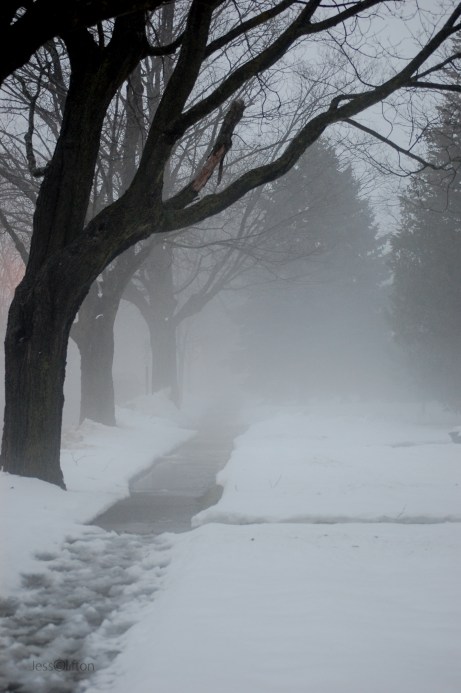 Fog Snow Sidewalk
