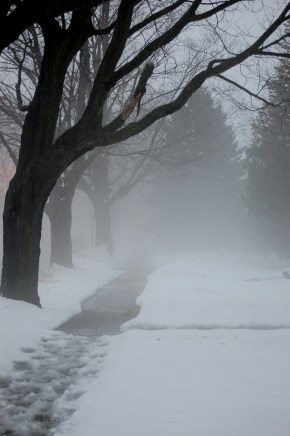 Fog Snow Sidewalk
