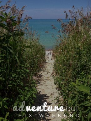 Beach Path