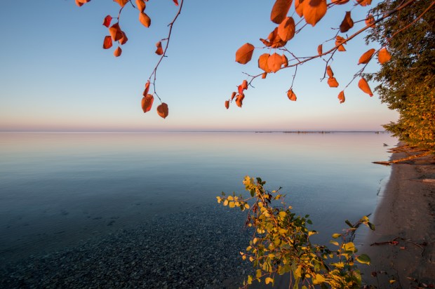 Foliage Framed Old Mission Peninsula